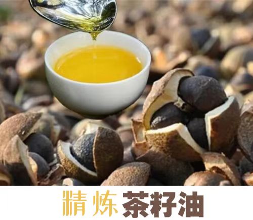 茶籽油精炼成套工程