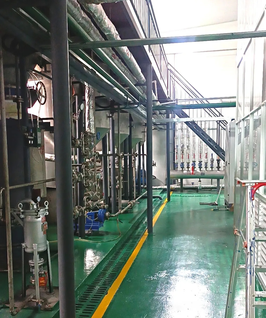喜讯：华泰集团5TPD鱼油精炼项目在大连成功交付