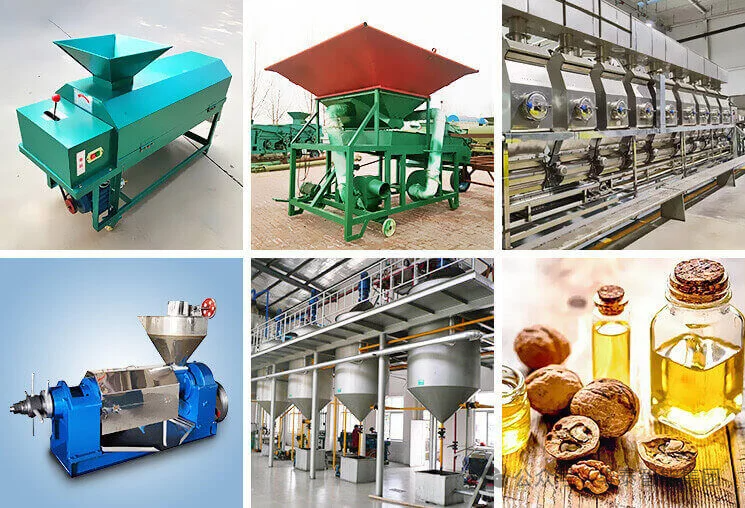 从山核桃到“液体黄金”：华泰智能装备如何重塑核桃油产业价值链？